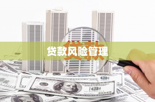颍州贷款风险管理
