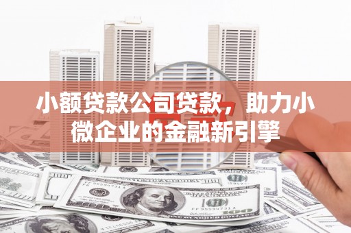 颍州小额贷款公司贷款，助力小微企业的金融新引擎