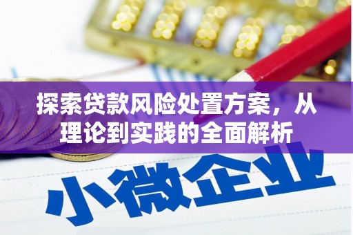 颍州探索贷款风险处置方案，从理论到实践的全面解析