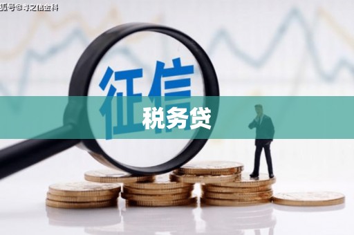 颍州税务贷