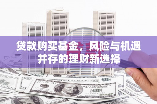 颍州贷款购买基金，风险与机遇并存的理财新选择