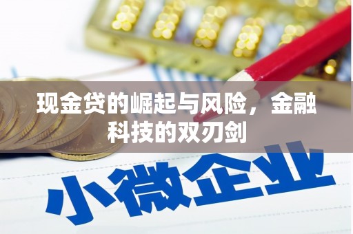 颍州现金贷的崛起与风险，金融科技的双刃剑