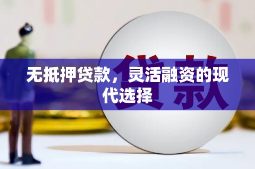 颍州无抵押贷款，灵活融资的现代选择