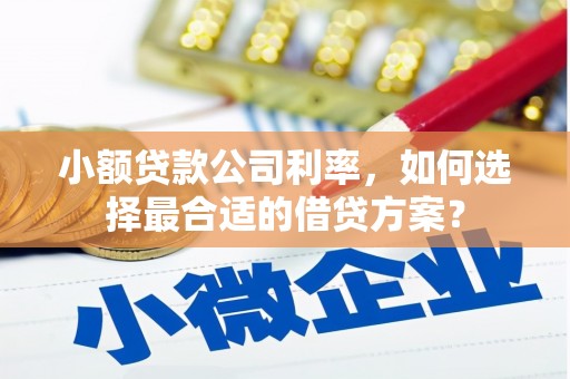颍州小额贷款公司利率，如何选择最合适的借贷方案？