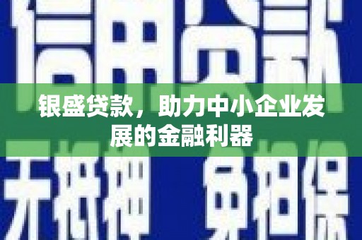 颍州银盛贷款，助力中小企业发展的金融利器