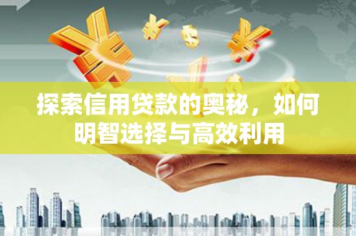 颍州探索信用贷款的奥秘，如何明智选择与高效利用