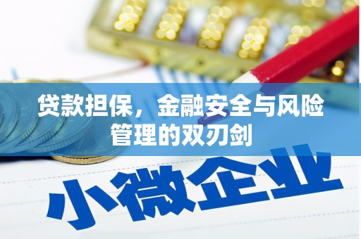 颍州贷款担保，金融安全与风险管理的双刃剑