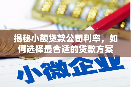 颍州揭秘小额贷款公司利率，如何选择最合适的贷款方案