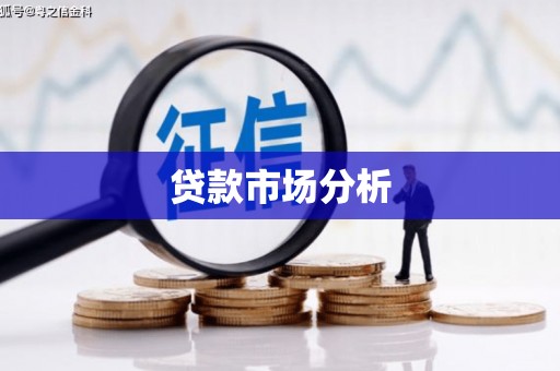 颍州贷款市场分析