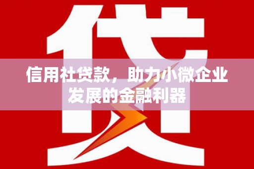 颍州信用社贷款，助力小微企业发展的金融利器