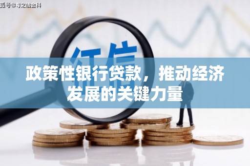 颍州政策性银行贷款，推动经济发展的关键力量
