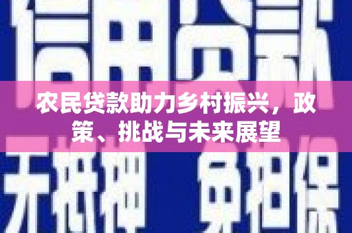 颍州农民贷款助力乡村振兴，政策、挑战与未来展望
