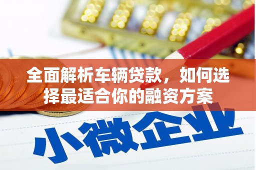 颍州全面解析车辆贷款，如何选择最适合你的融资方案