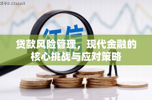 颍州贷款风险管理，现代金融的核心挑战与应对策略