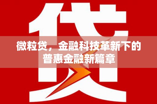 颍州微粒贷，金融科技革新下的普惠金融新篇章