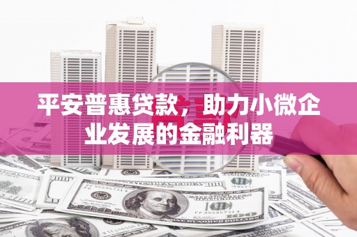 颍州平安普惠贷款，助力小微企业发展的金融利器
