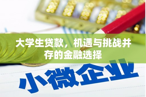 颍州大学生贷款，机遇与挑战并存的金融选择