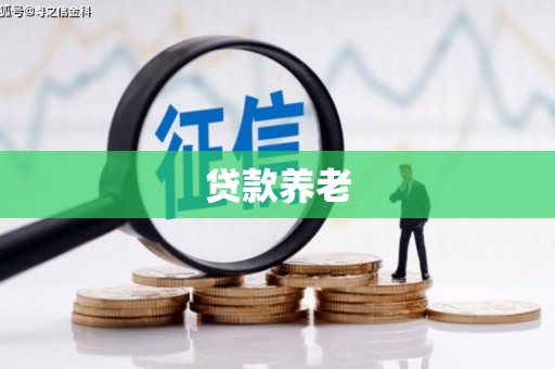 颍州贷款养老