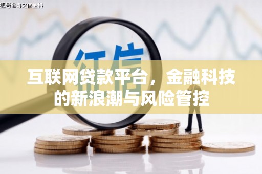 颍州互联网贷款平台，金融科技的新浪潮与风险管控