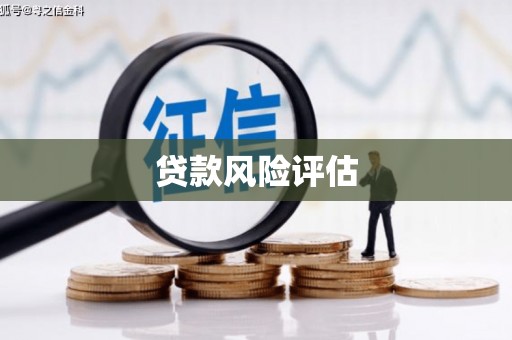 颍州贷款风险评估