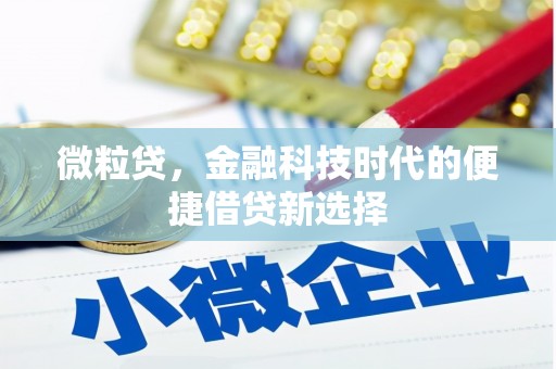 颍州微粒贷，金融科技时代的便捷借贷新选择