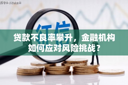 颍州贷款不良率攀升，金融机构如何应对风险挑战？