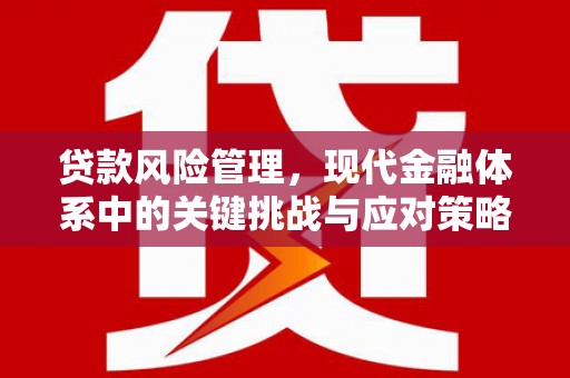 颍州贷款风险管理，现代金融体系中的关键挑战与应对策略