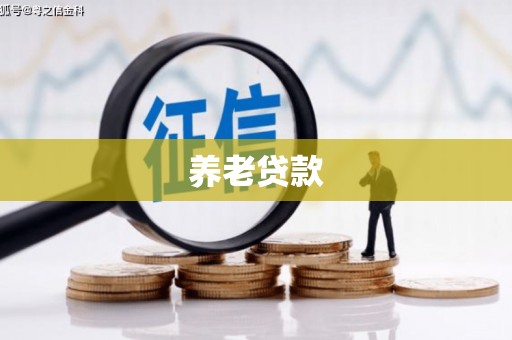 颍州养老贷款