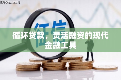 颍州循环贷款，灵活融资的现代金融工具