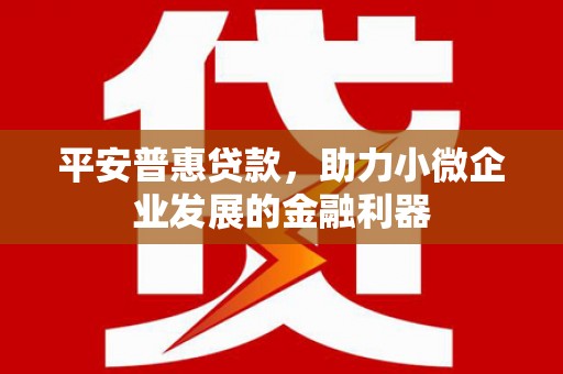 颍州平安普惠贷款，助力小微企业发展的金融利器