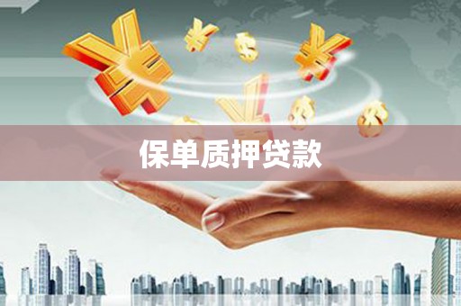 颍州保单质押贷款