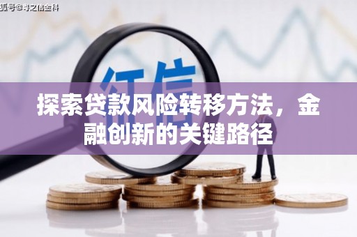 颍州探索贷款风险转移方法，金融创新的关键路径
