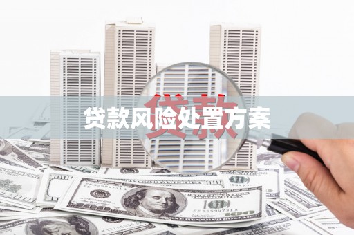 颍州贷款风险处置方案