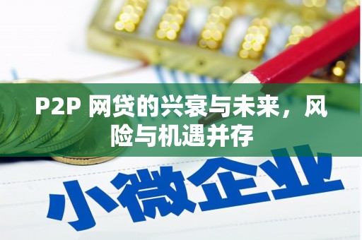 颍州P2P 网贷的兴衰与未来，风险与机遇并存