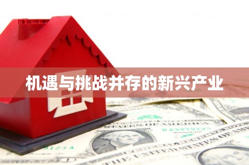颍州机遇与挑战并存的新兴产业