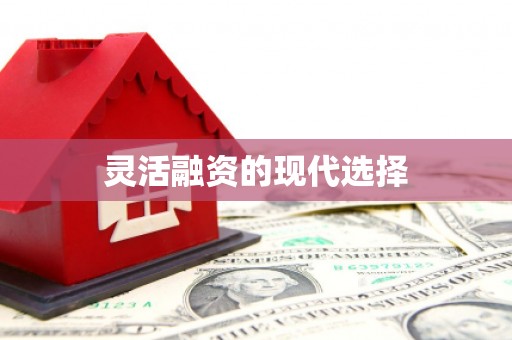 颍州灵活融资的现代选择