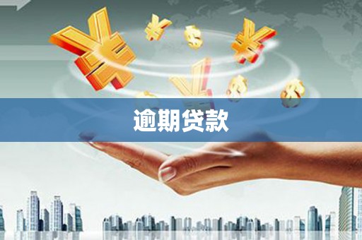 颍州逾期贷款