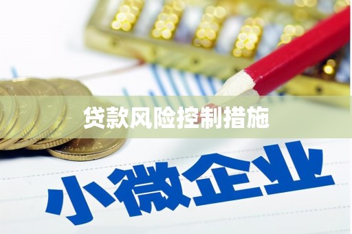颍州贷款风险控制措施