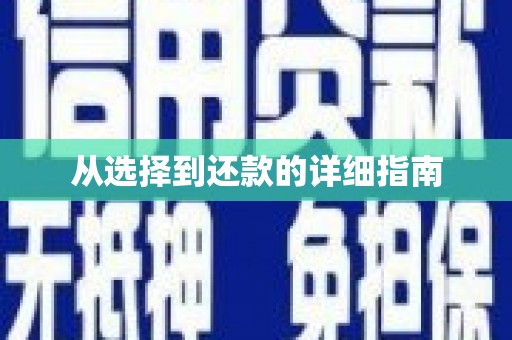 颍州从选择到还款的详细指南