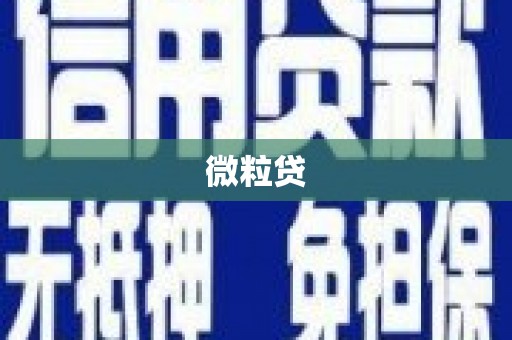 颍州微粒贷