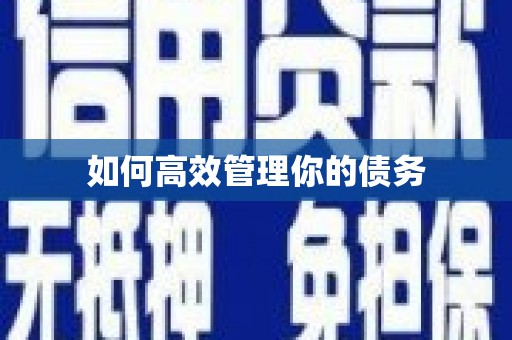 颍州如何高效管理你的债务
