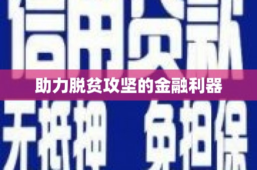 颍州助力脱贫攻坚的金融利器