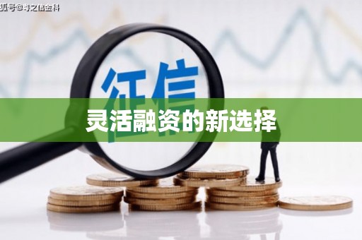 颍州灵活融资的新选择
