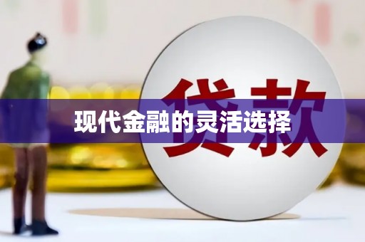 颍州现代金融的灵活选择