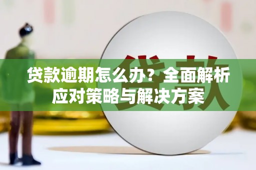 颍州贷款逾期怎么办？全面解析应对策略与解决方案
