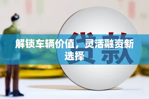颍州解锁车辆价值，灵活融资新选择