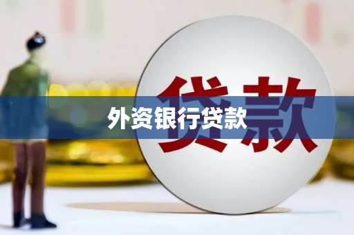 颍州外资银行贷款