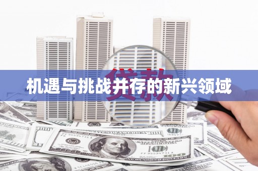颍州机遇与挑战并存的新兴领域