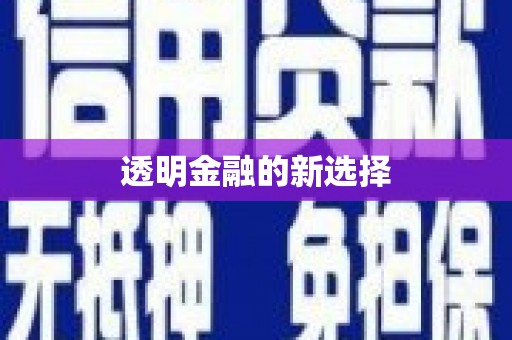 颍州透明金融的新选择