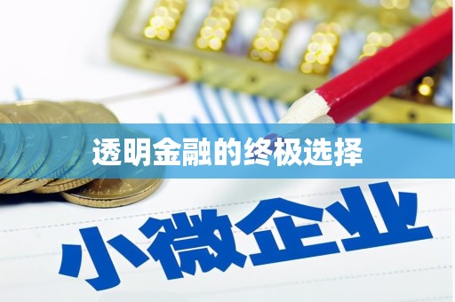 颍州透明金融的终极选择